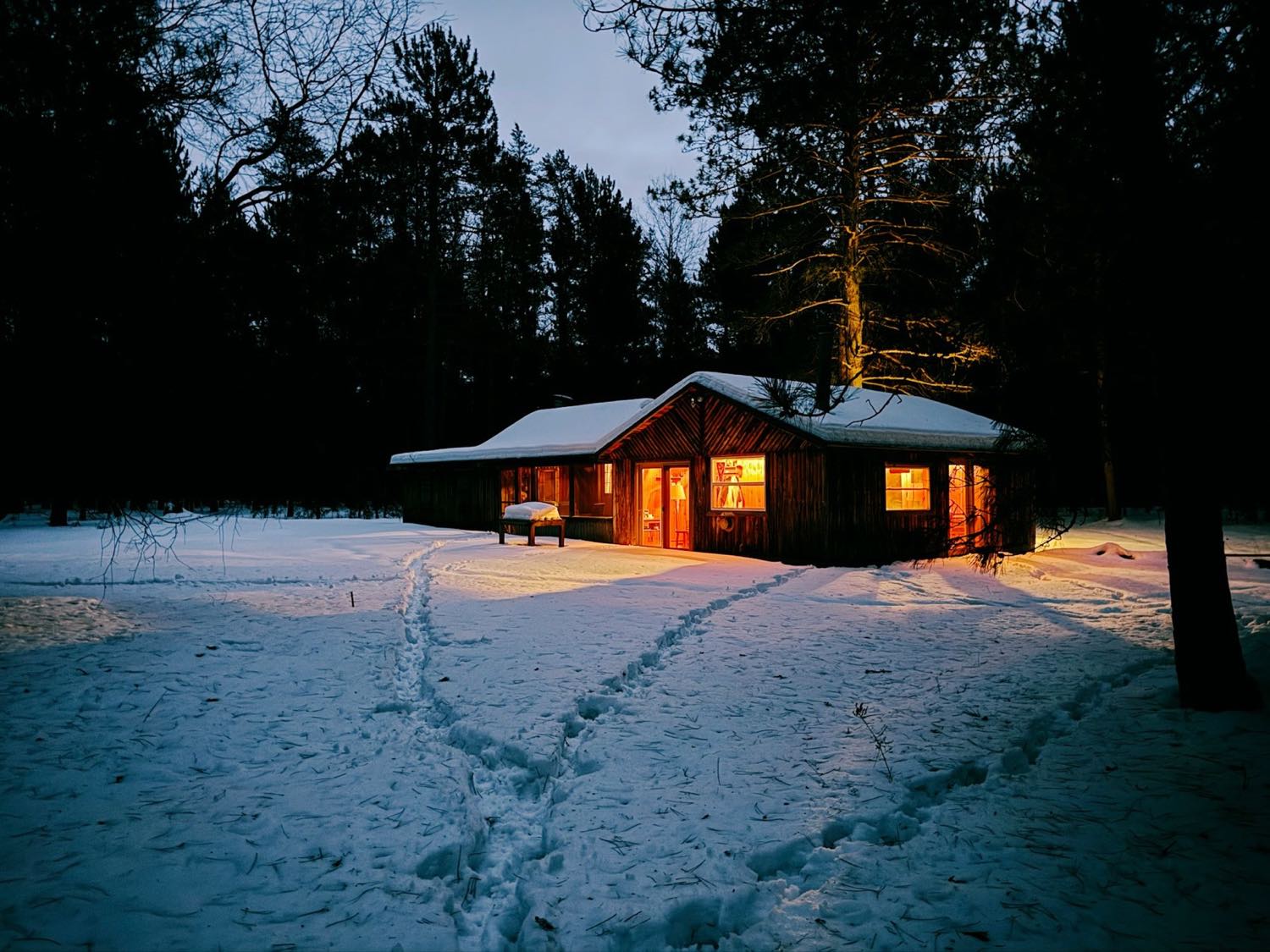 A low timber cabin with warmly lit windows standing in deep snow among tall pines at dusk, with ski tracks leading to the door